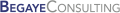 Begaye Consulting